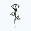 rosesshop